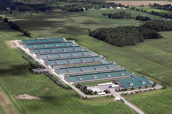 Qinghai Men Socks Co.,Ltd